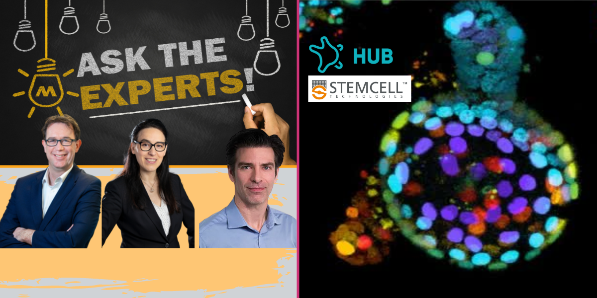 Ask the experts – organoids for viral infection studies