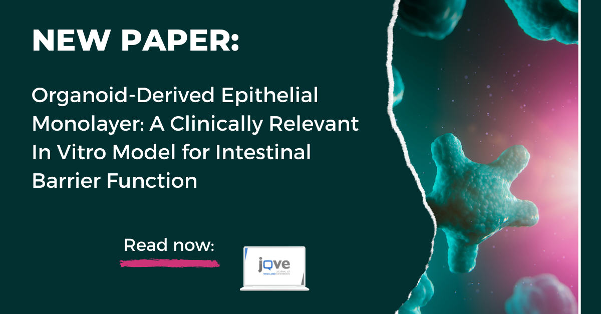 Test epithelial barrier function