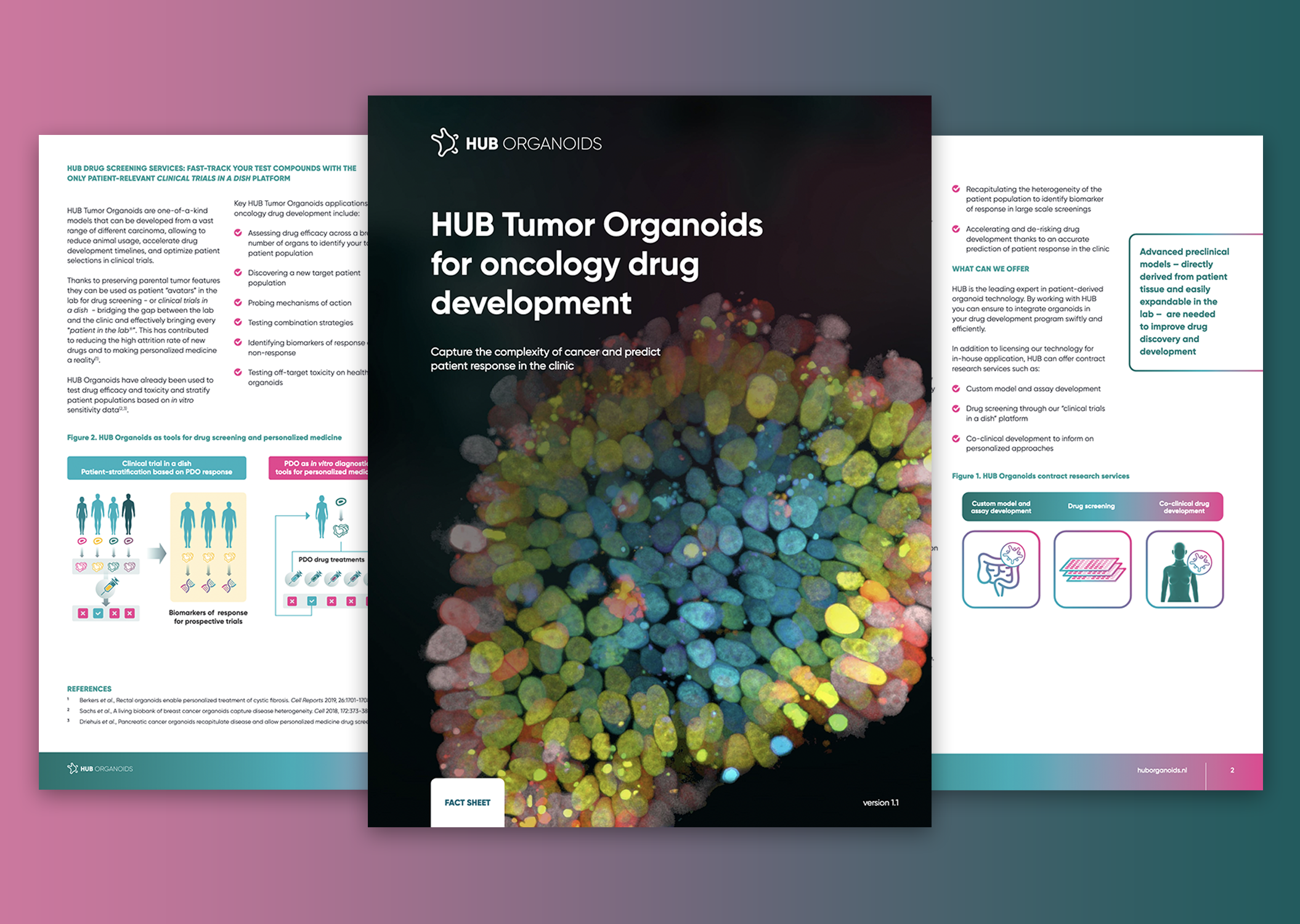 Tumor organoids