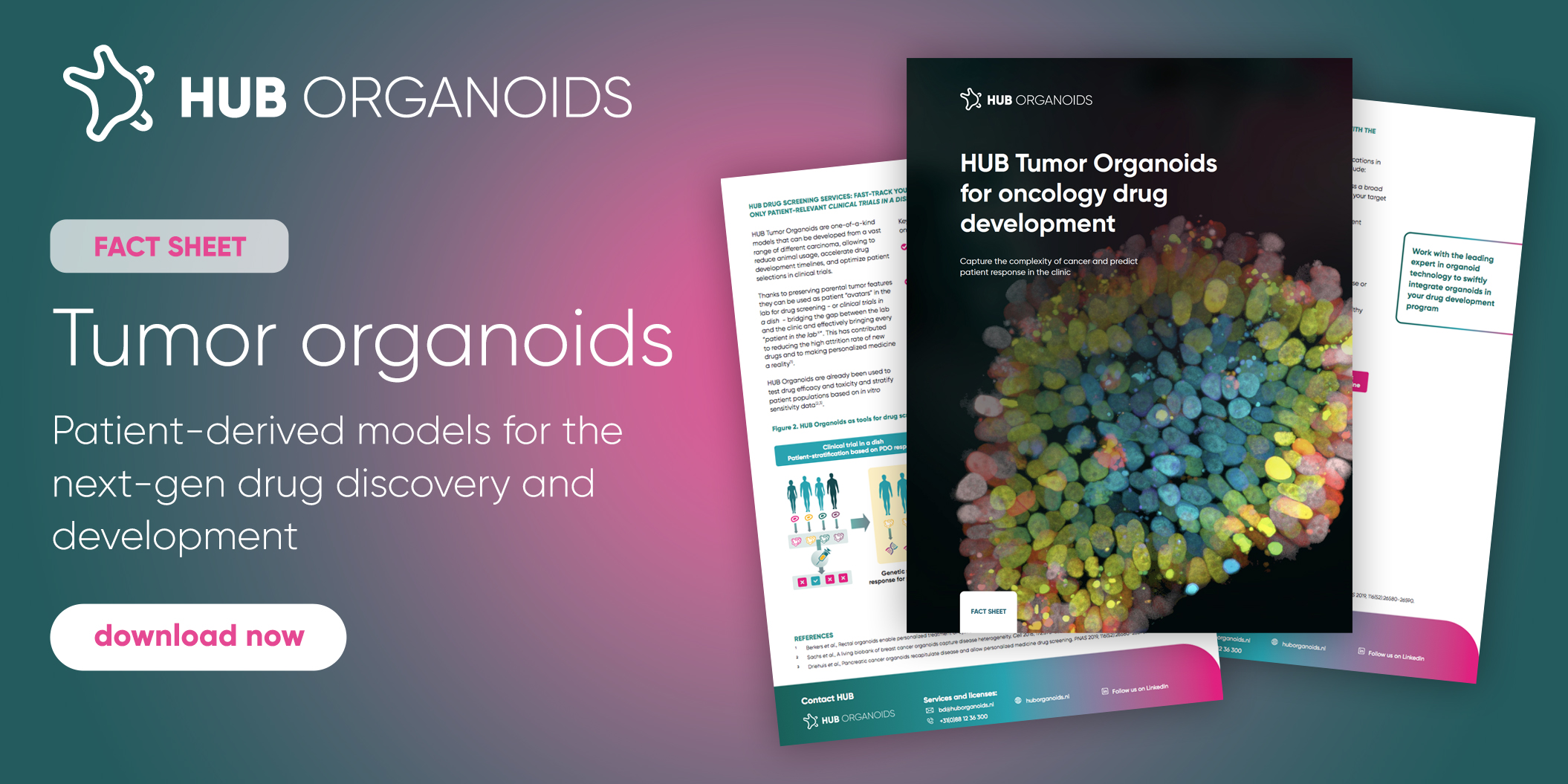 HUB tumor organoid models