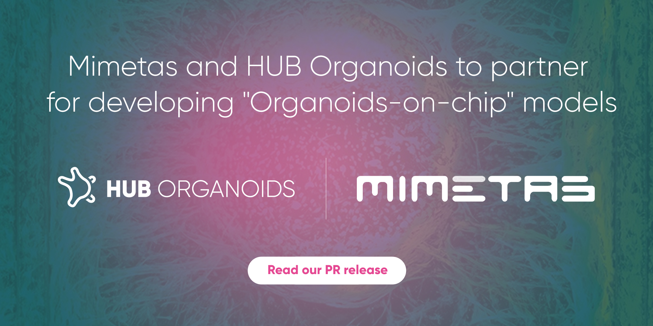 Organoids-on-a-chip