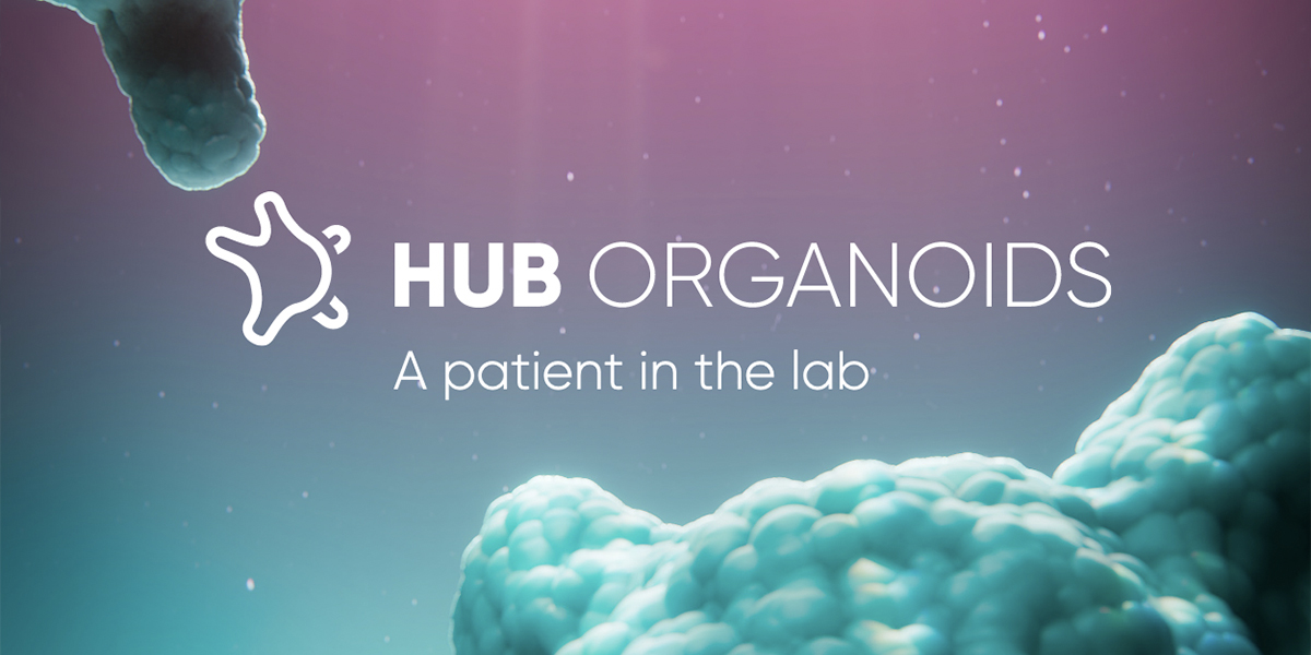HUB Organoids: a patient in the lab