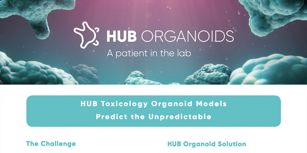 HUB Toxicology Organoid Models