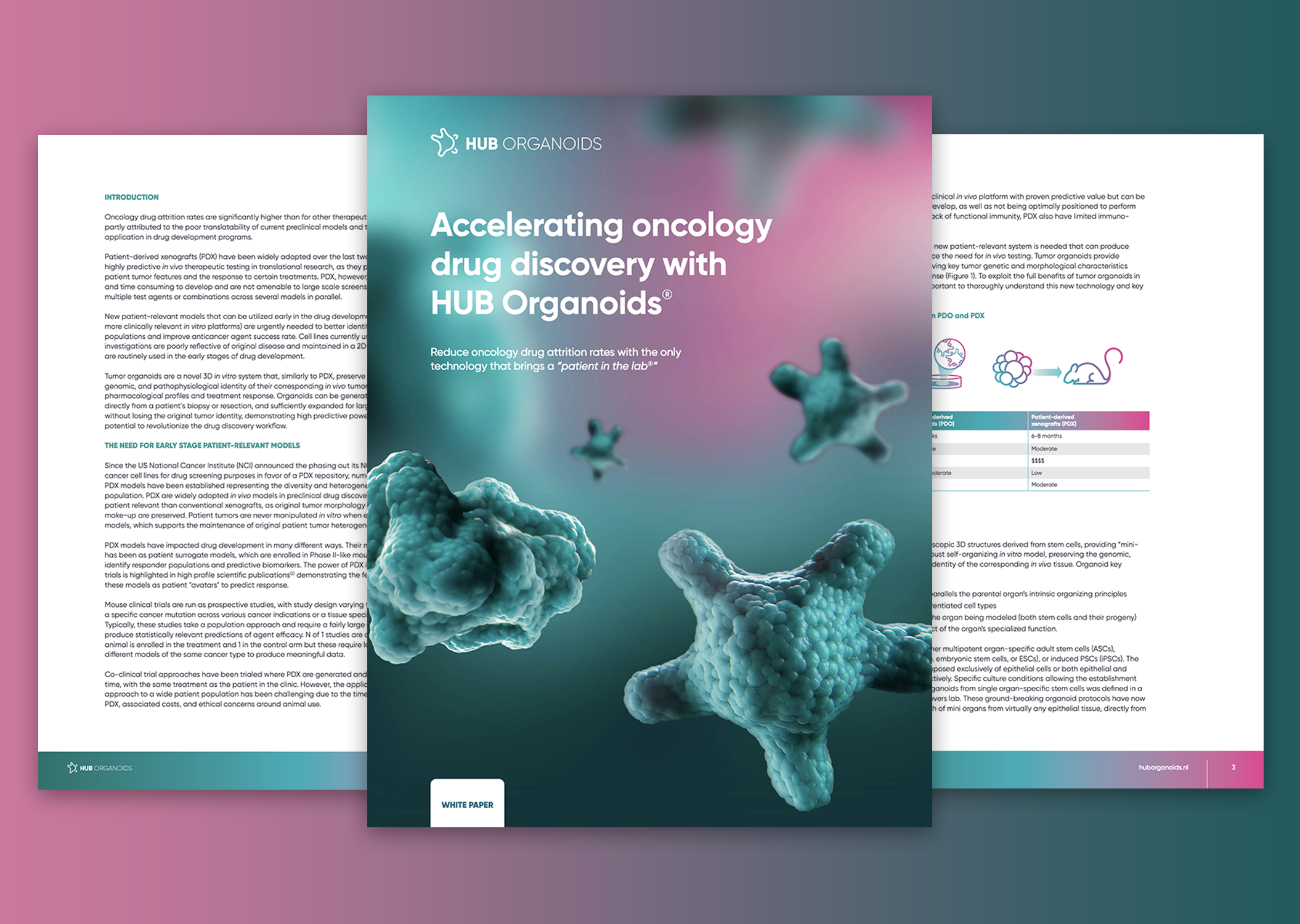 Accelerating oncology drug discovery with HUB Organoids®