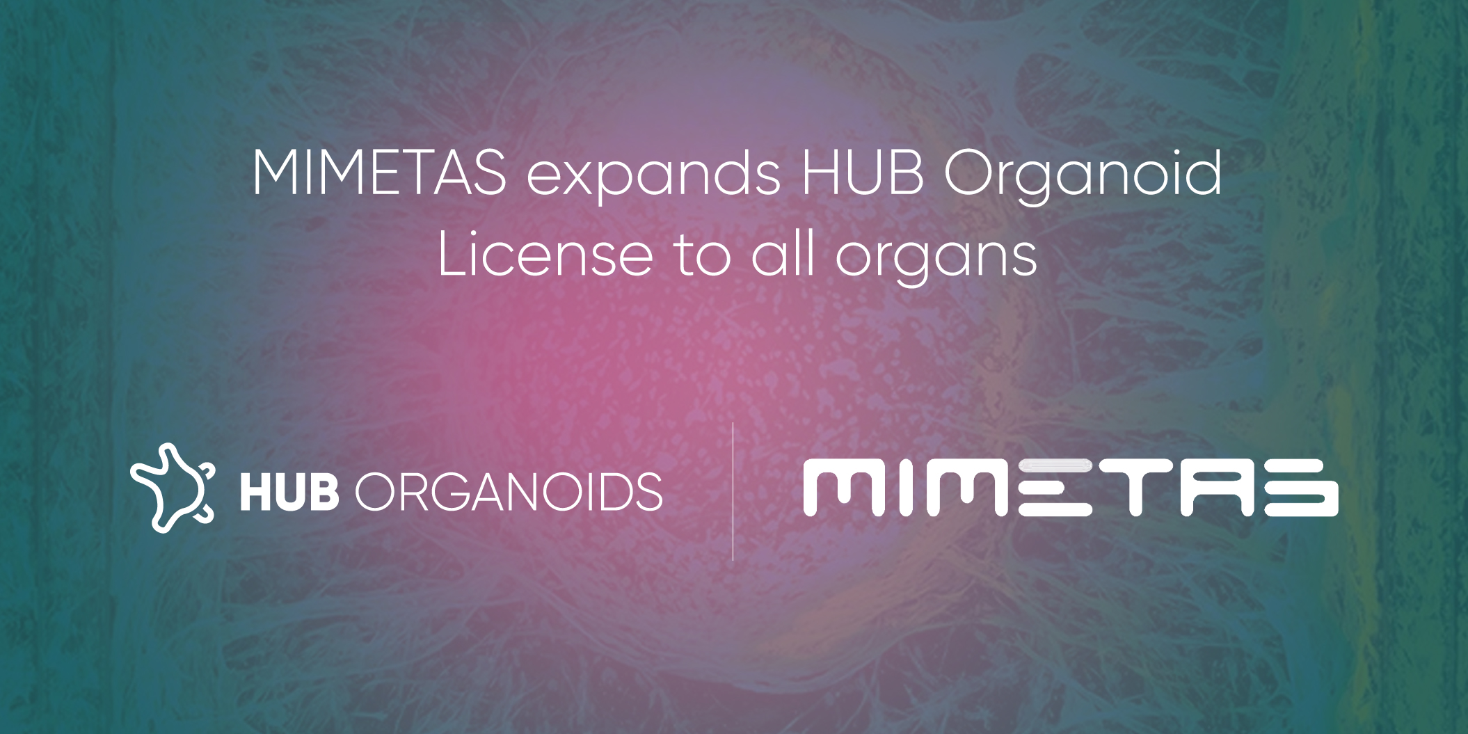 MIMETAS Expands Adult Stem Cell Organoid License to All Organs