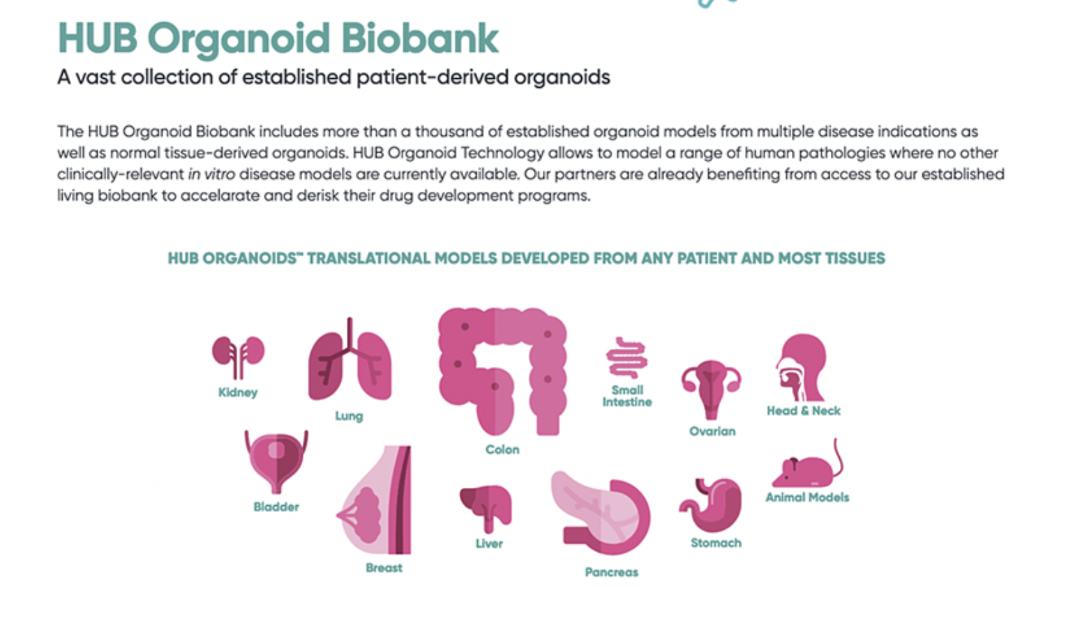 HUB Organoid biobank