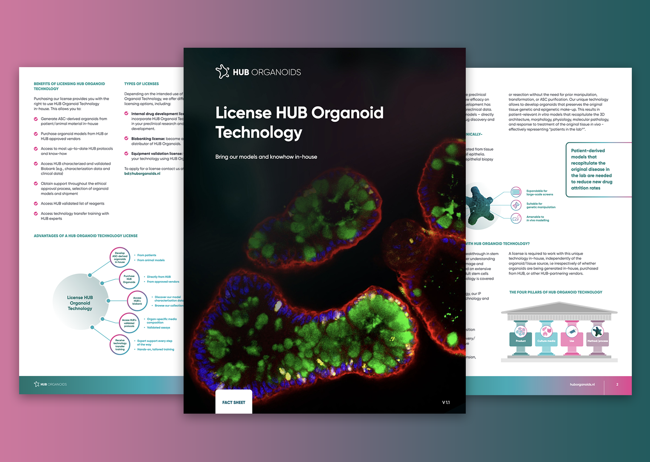 License HUB Organoid Technology