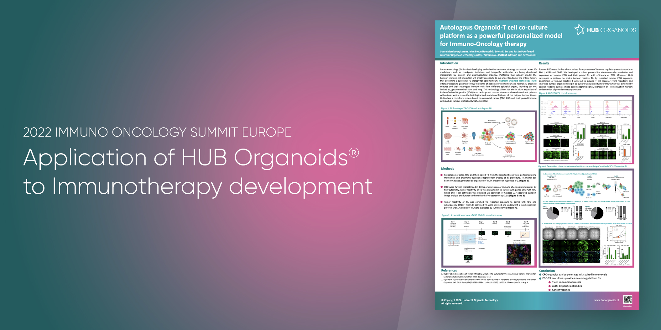 Application of HUB Organoids® to Immunotherapy development