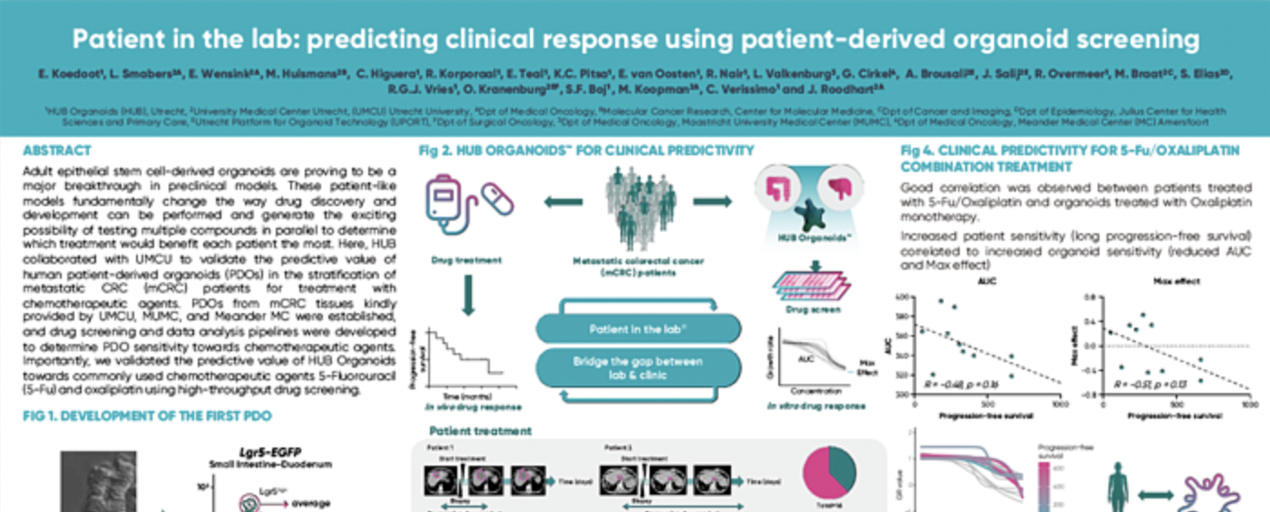 Patient in the lab: predicting clinical responses using patient-derived organoid screening