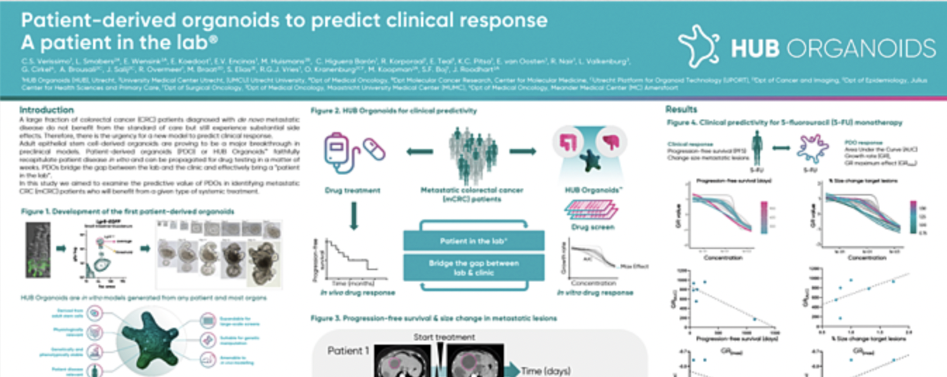 Patient-derived organoids predict clinical response: a patient in the lab