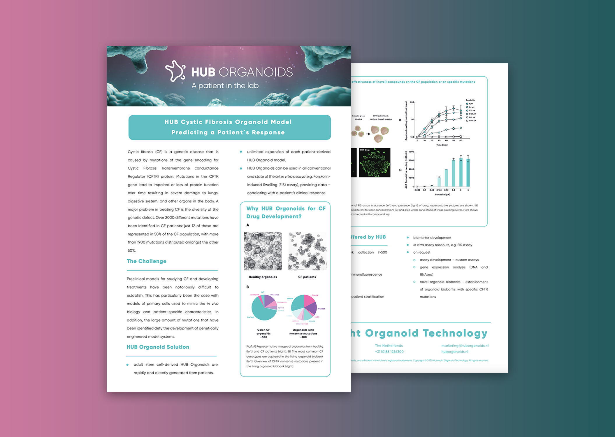 HUB Organoids in cystic fibrosis