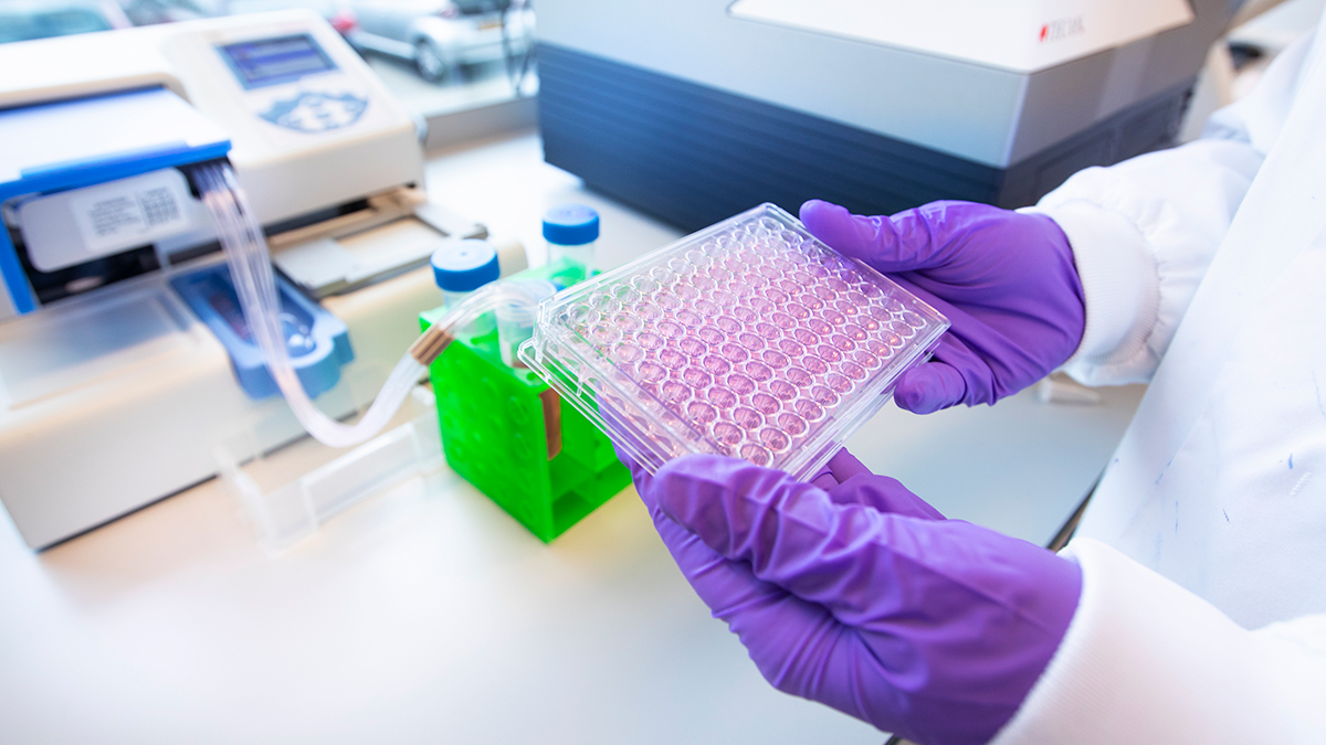 HUB4Organoids-Lab-Babet-Hogervorst-0361.jpg
