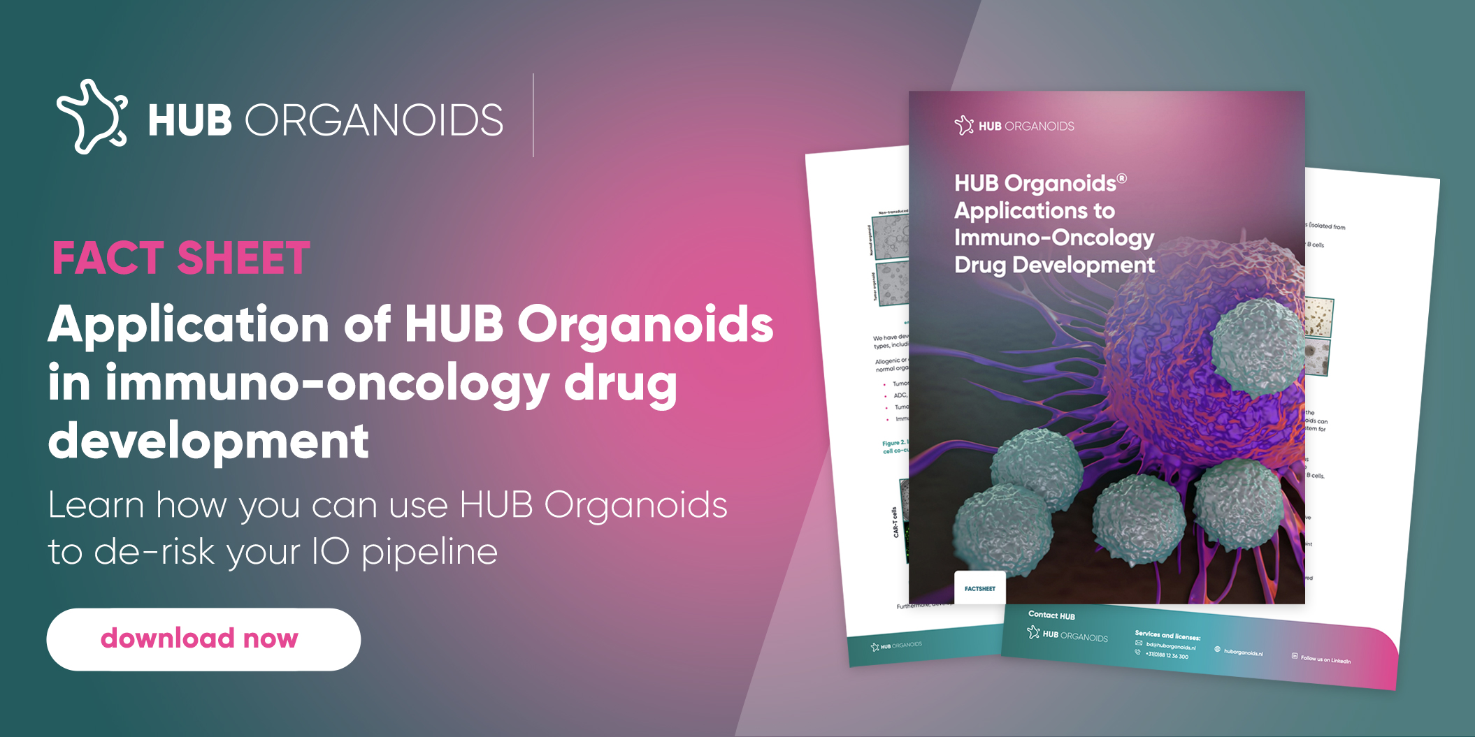 Application of HUB Organoids® in immuno-oncology drug development