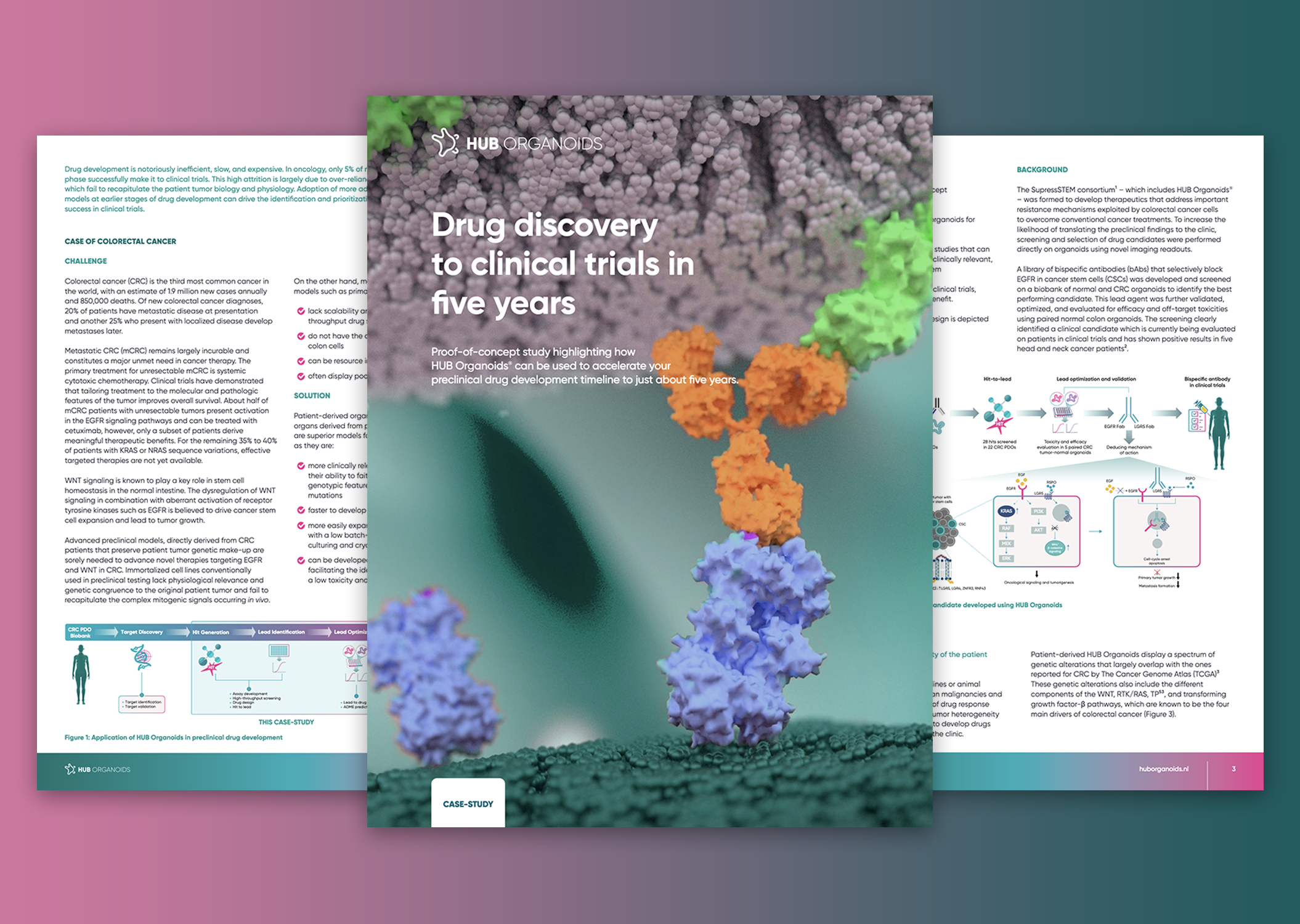 Drug discovery to clinical trials in five years