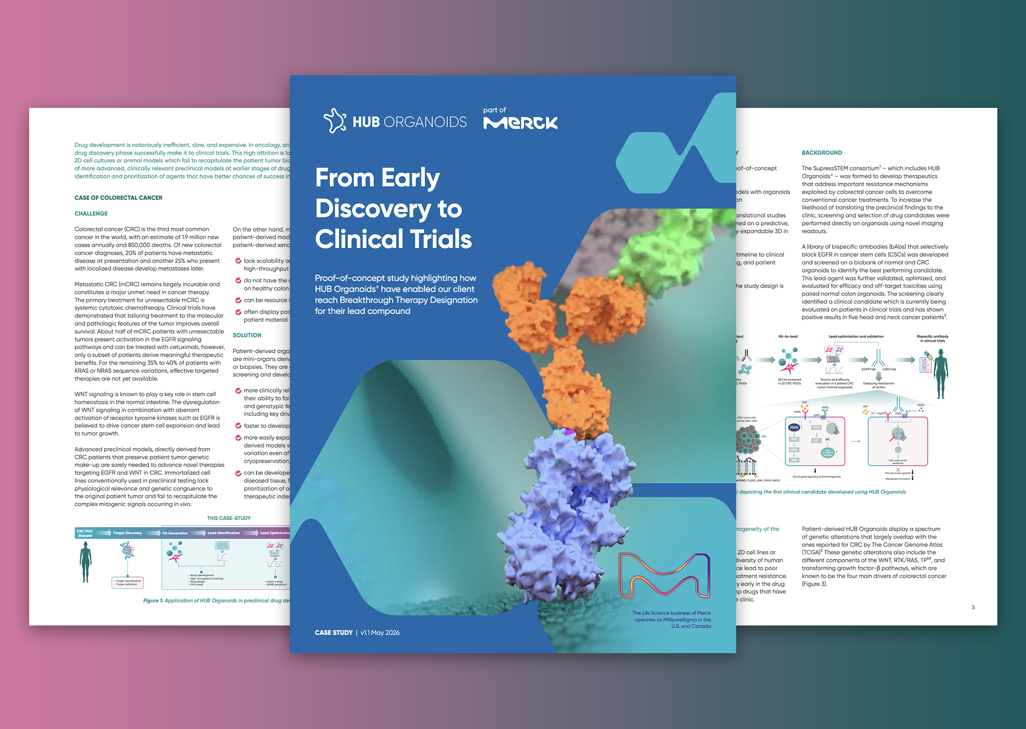 Discovery to Breakthrough Designation Therapy with HUB Organoids