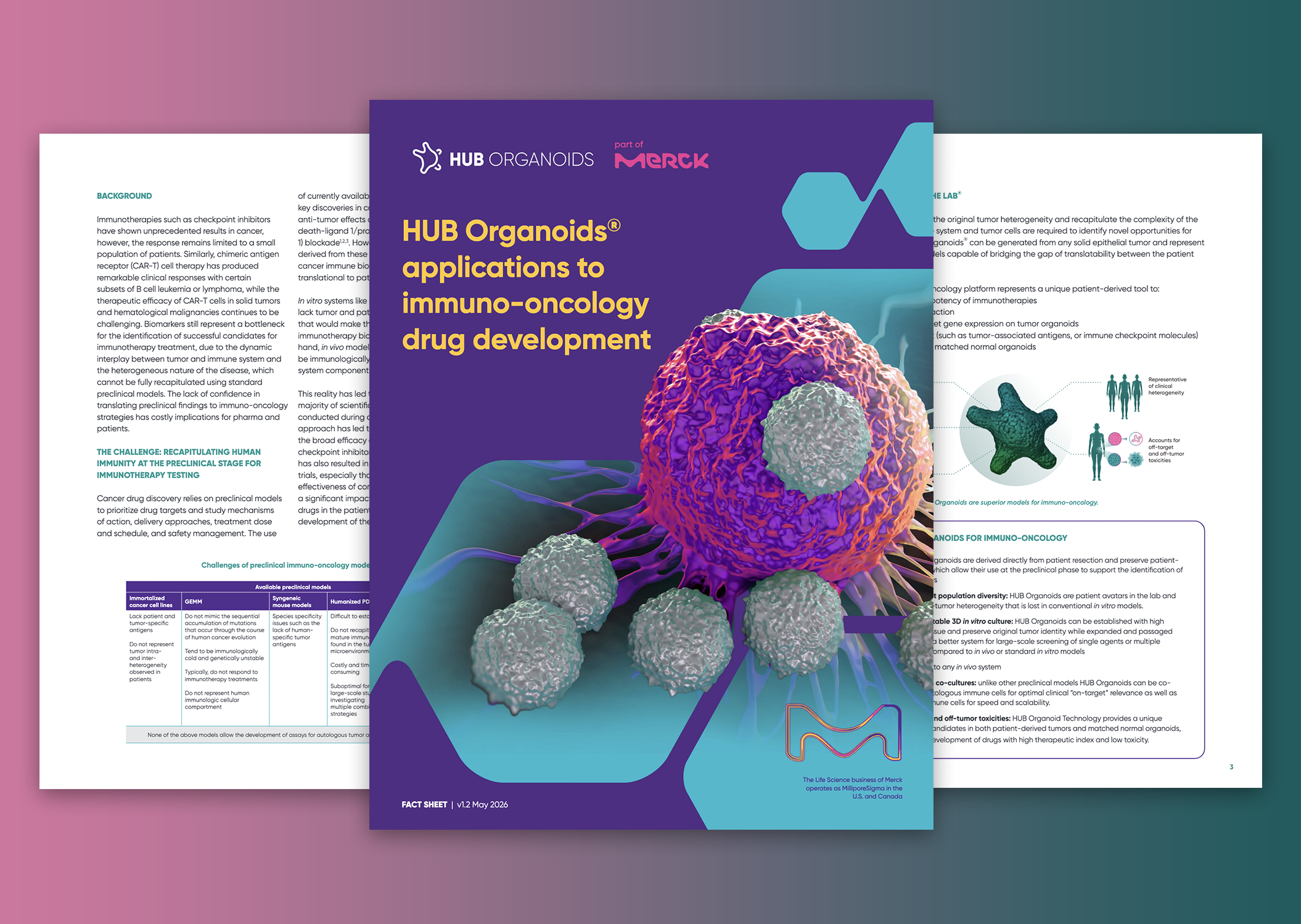 Application of HUB Organoids in immuno-oncology drug development