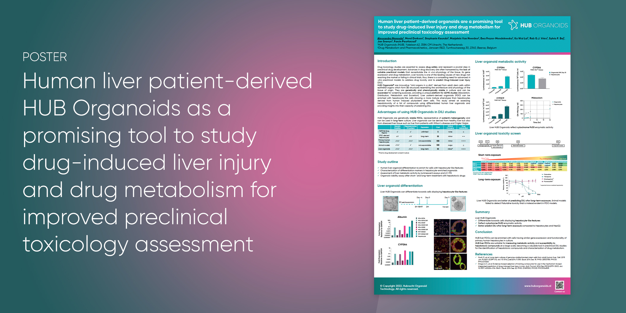 Human liver patient-derived HUB Organoids as a promising tool to study drug-induced liver injury and drug metabolism for improved preclinical toxicology assessment