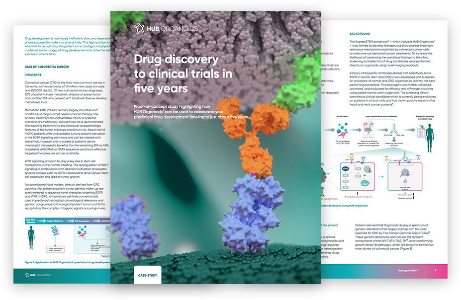 HUB Organoids extends partnership with Molecular Devices to advance automated intestinal organoid screening technology