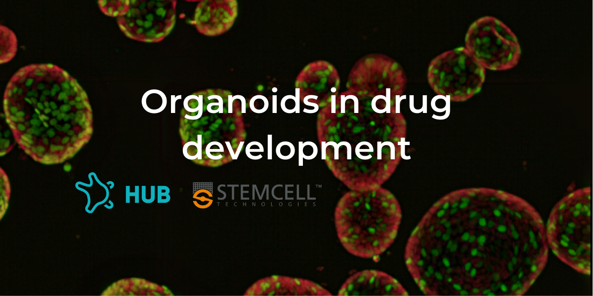 Ask the experts – organoids in drug development