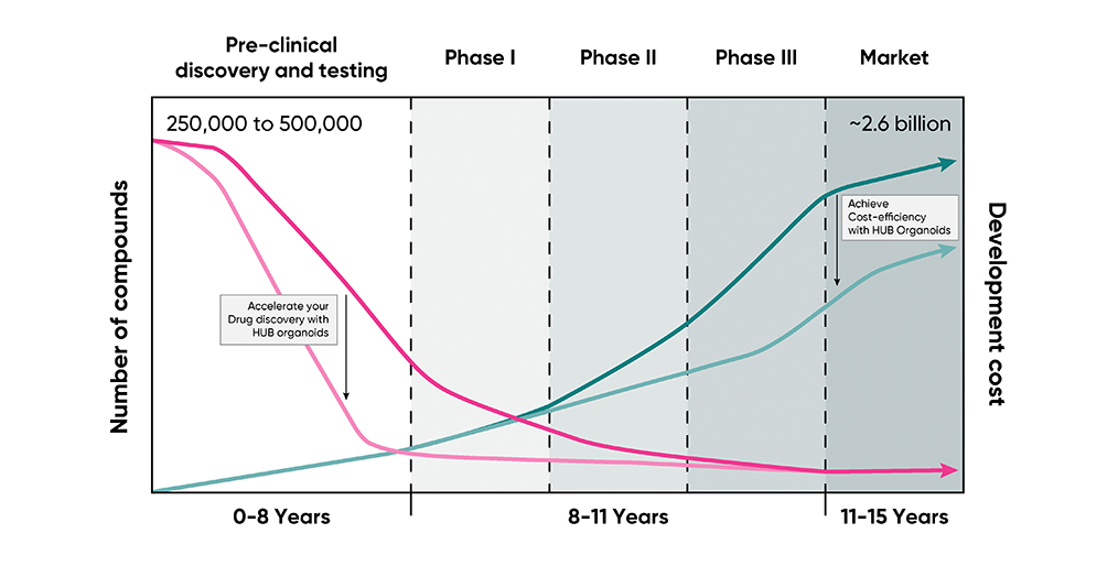 Forecasting a champion: How HUB Organoids® can speed up the drug development timeline to about five years