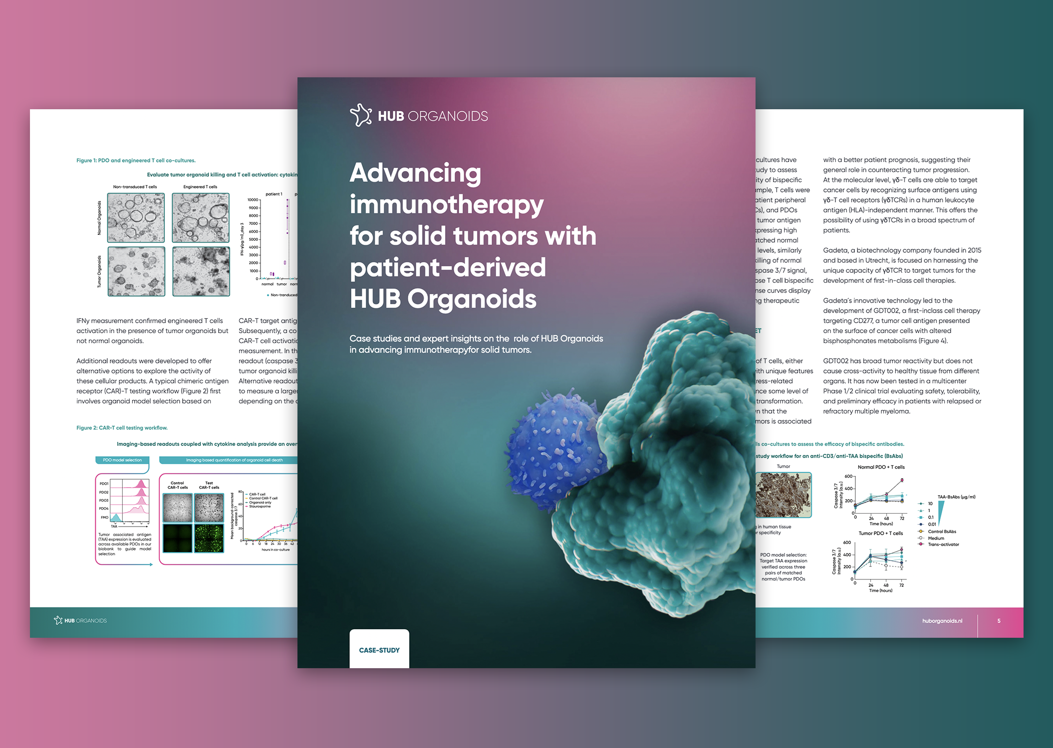 Advancing immunotherapy for solid tumors with patient-derived organoids