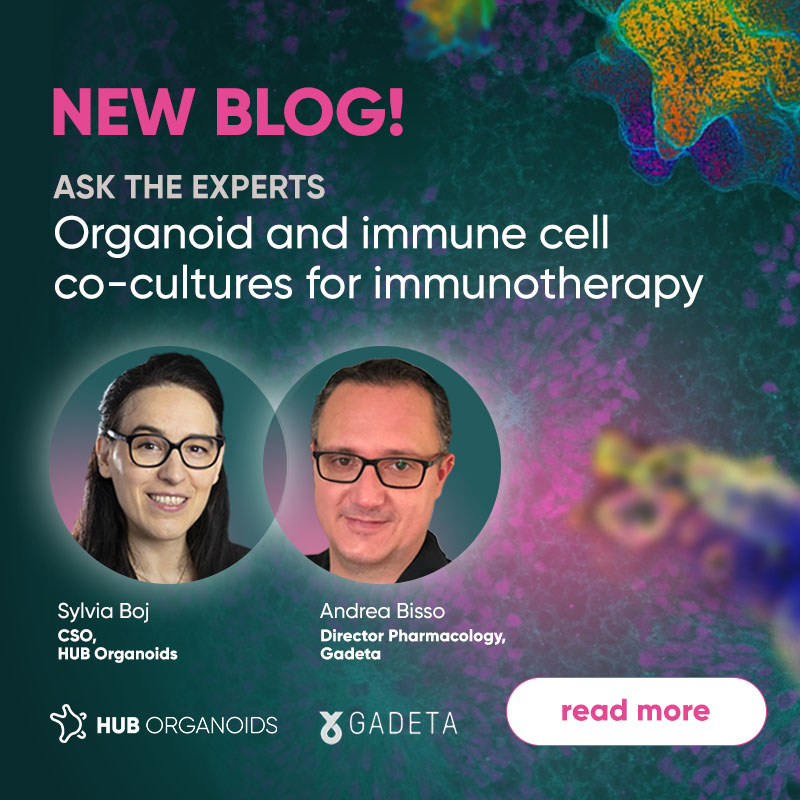 Ask the Experts – organoid & immune cell co-cultures for immunotherapy