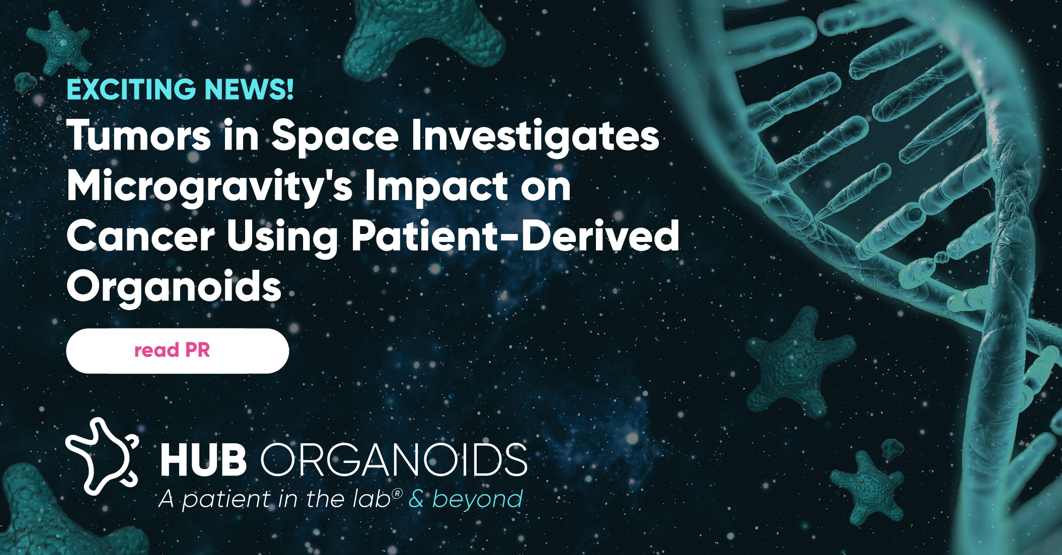 Tumors in Space Investigates Microgravity’s Impact on Cancer Using Patient-Derived HUB Organoids