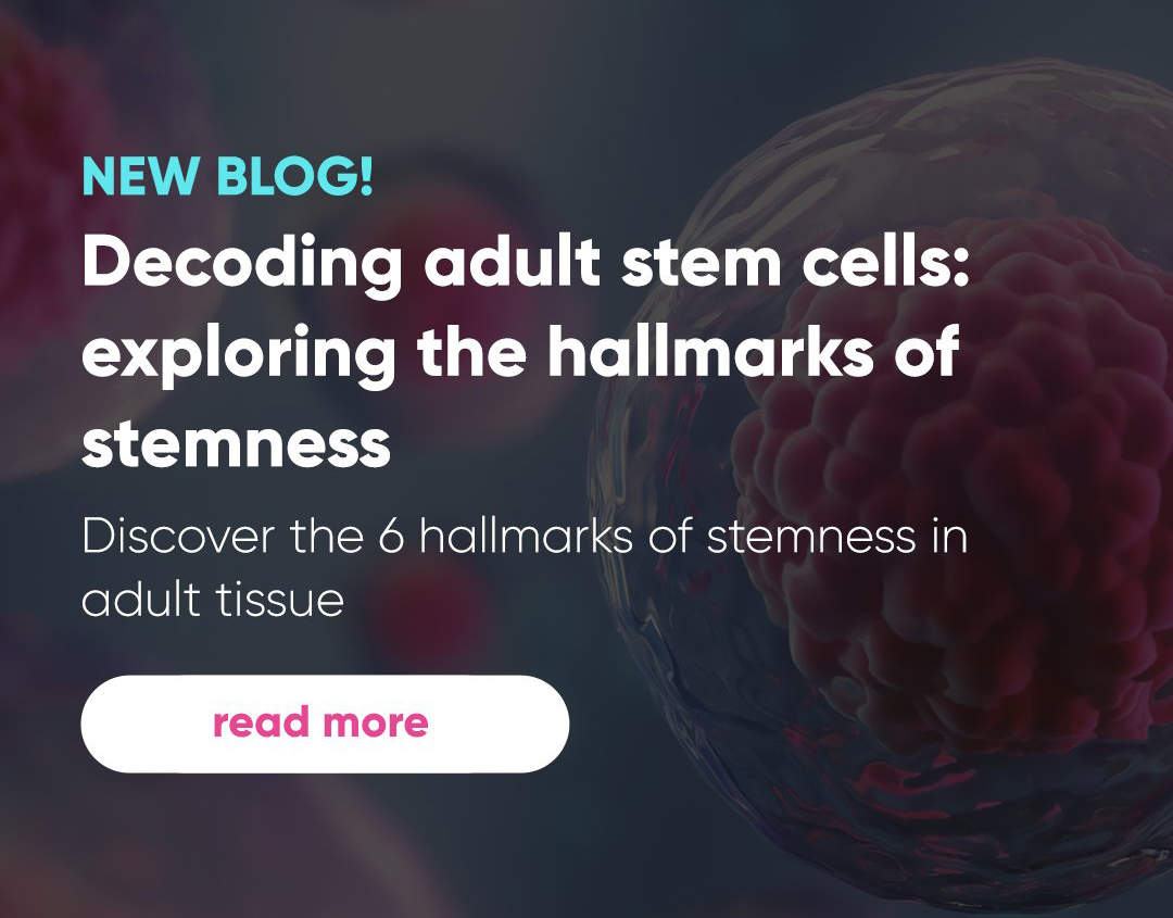 Decoding adult stem cells: exploring the hallmarks of stemness