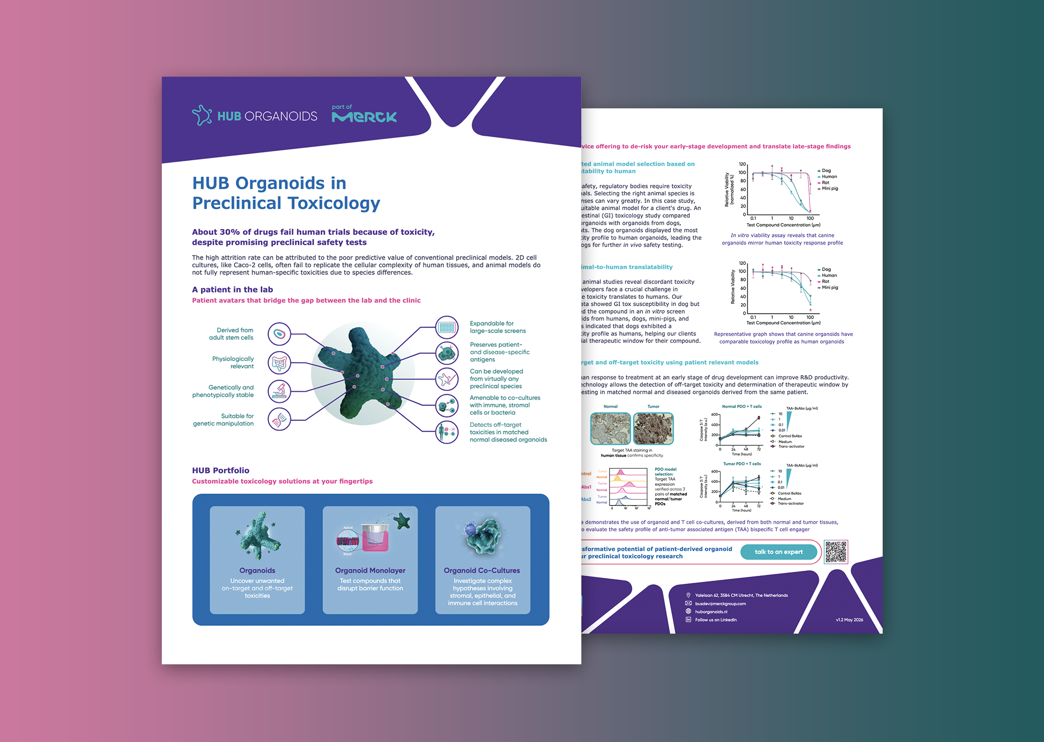 HUB Organoids in Preclinical Toxicology