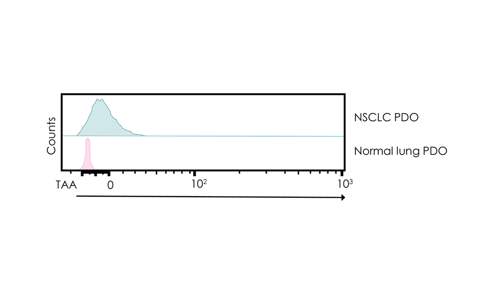 Flow cytometry showing tumor associated target antigen expression