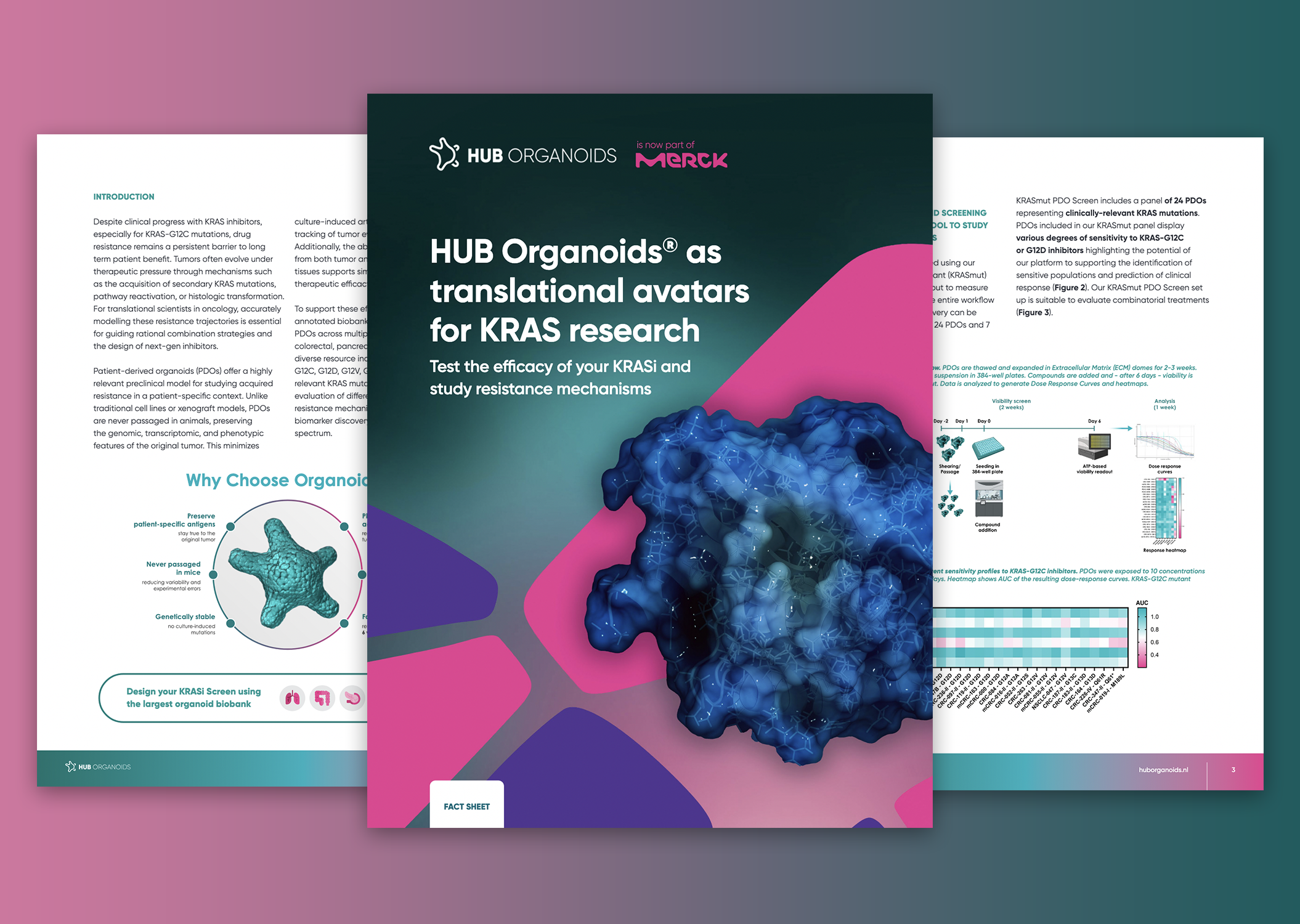 Patient-derived organoids as translational avatars for KRAS research