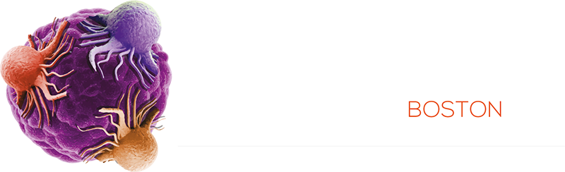 Tumor Models Boston