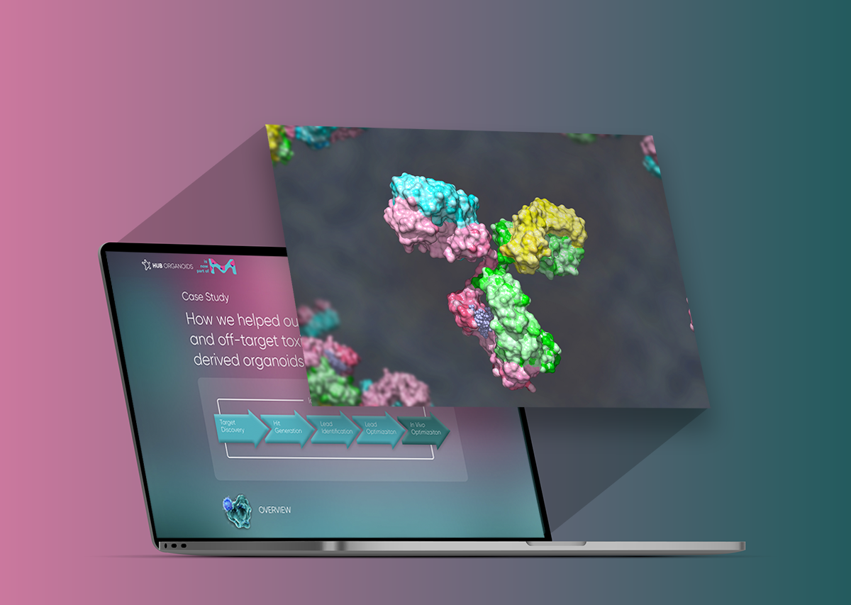 How we helped our client anticipate on- and off-target toxicity using patient-derived organoids