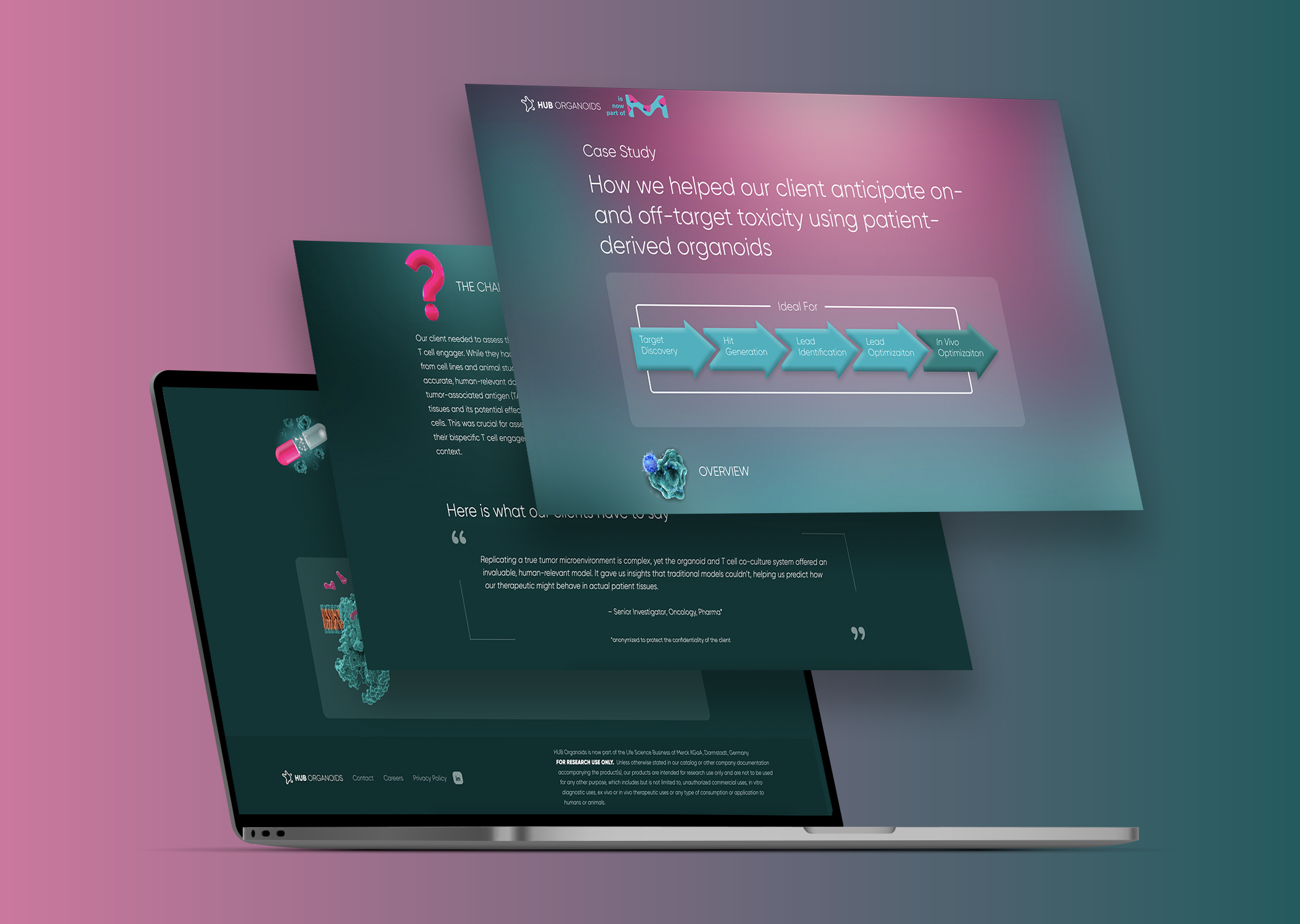 How we helped our client anticipate on- and off-target toxicity using patient-derived organoids