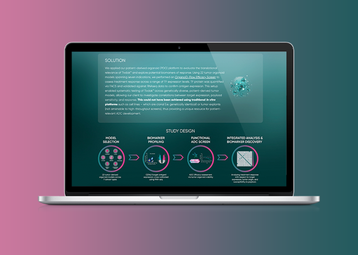 How we supported our client in advancing biomarker discovery and translational ADC development